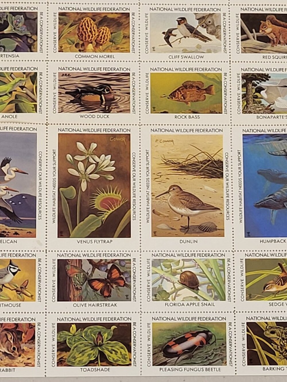 Vtg Stamps 36p America 1984 Wildlife by R Peterson Collector Album Philately USA - Picture 8 of 8